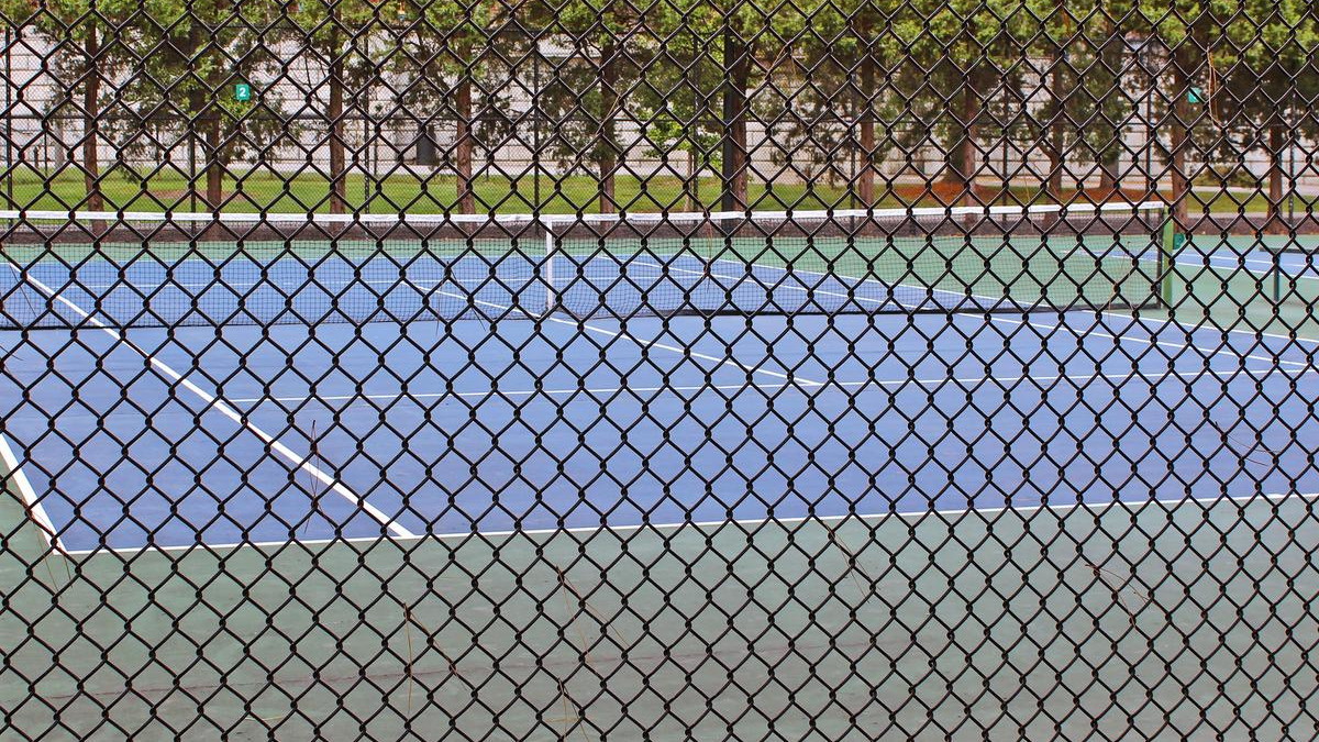Chain Link Sports Field Fence